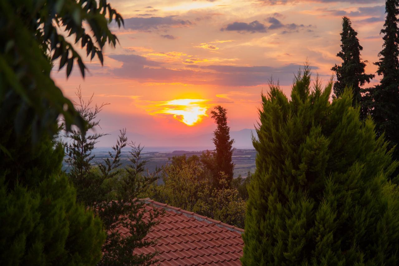 Hotel Filosxenia Roxani Country House Marónia Zewnętrze zdjęcie
